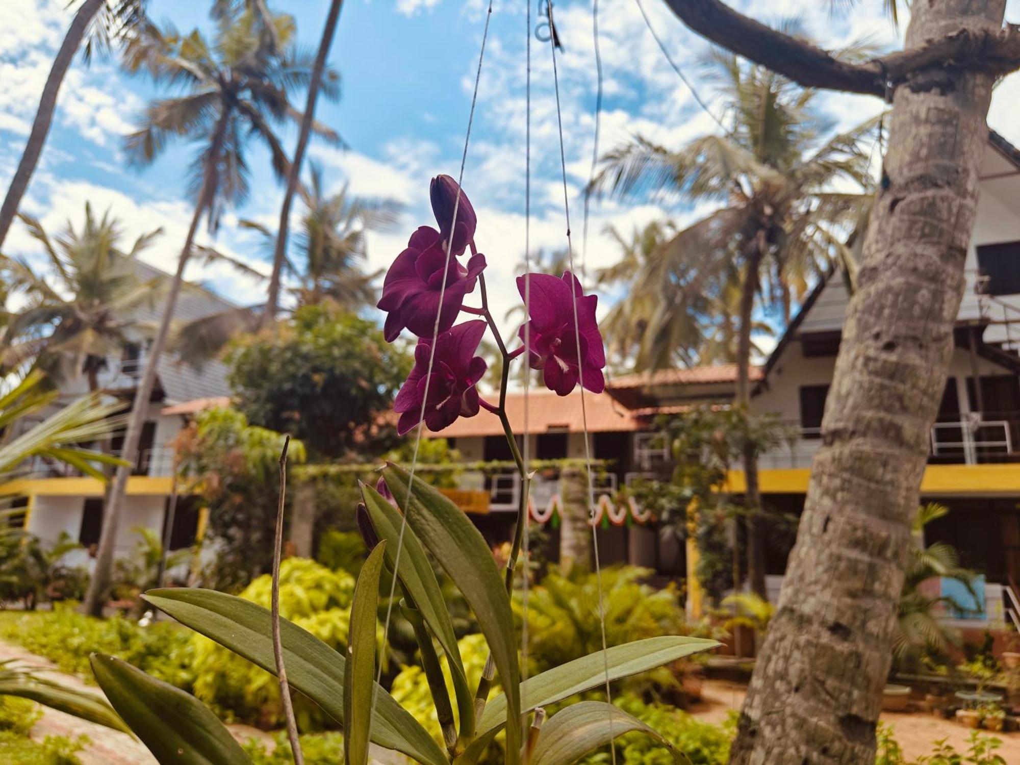 Pv Cottages - Serenity Beach Pondicherry Exterior photo